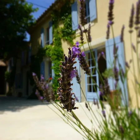 Mas Li Doumenge Bed & Breakfast